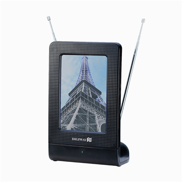 HOMEVISION TECHNOLOGY INC. ANT4000