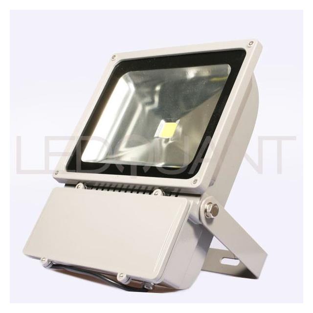 LEDQuant FL-100W-CW