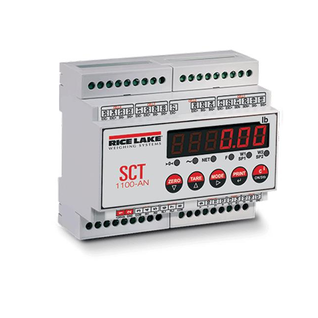 Rice Lake Weighing Systems 202101