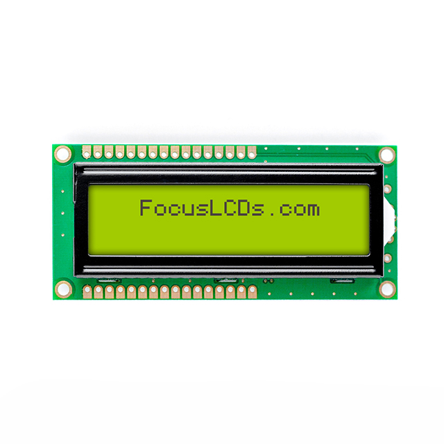 Focus LCDs C162A-YTY-LW65