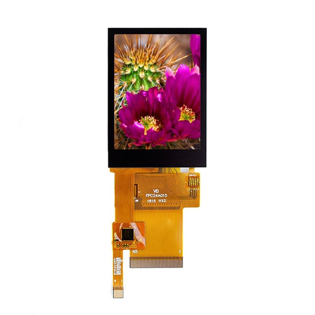Focus LCDs E24RG12432LW2M300-C