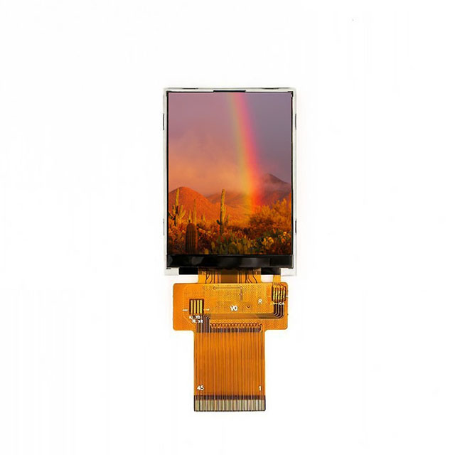 Focus LCDs E24RG12432LW6M250-R