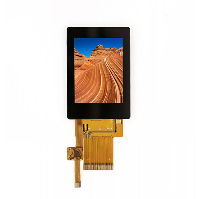 Focus LCDs E24RG12432LWIM800-C