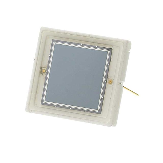 OSI Optoelectronics RD-100