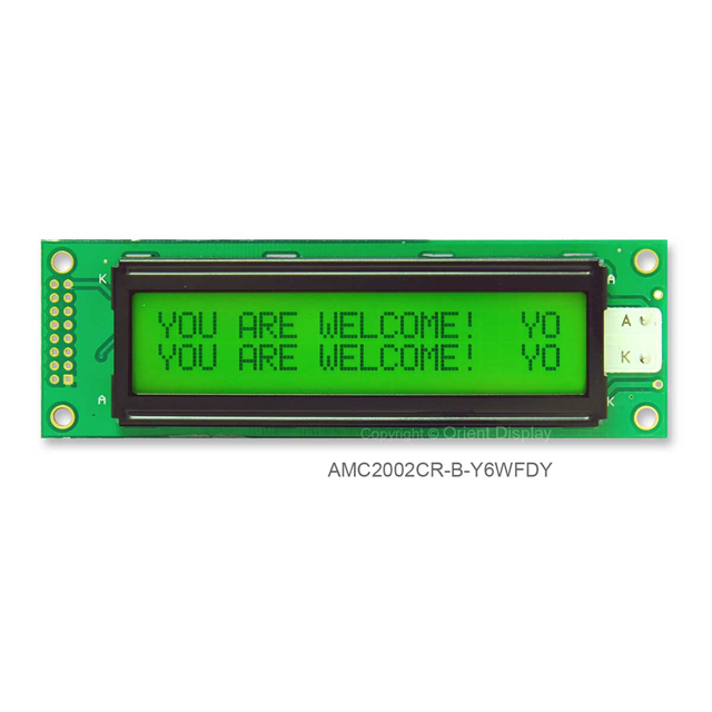 Orient Display AMC2002CR-B-Y6WFDY