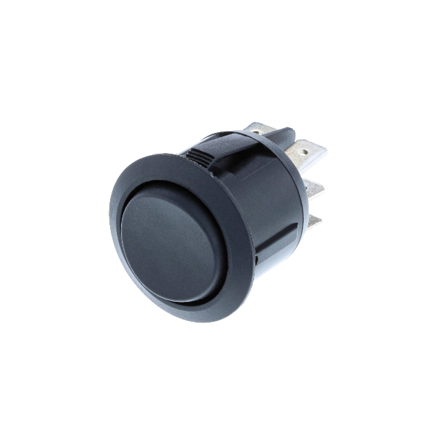 Switch Components RA1-2E-DC-2-B