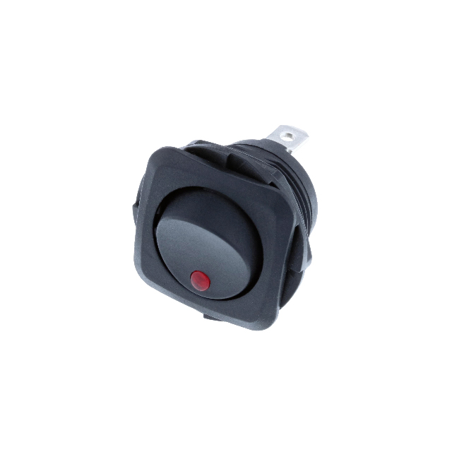 Switch Components RB2-1A-DC-2-RL