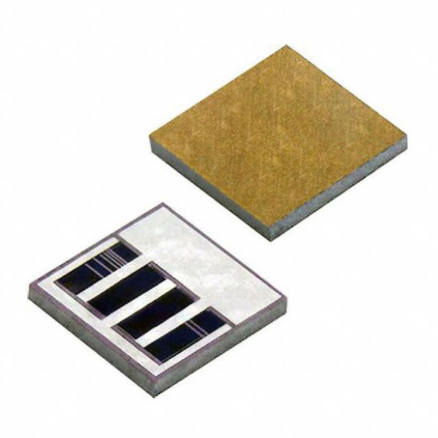 Vishay IGBRD1000BJONCT5