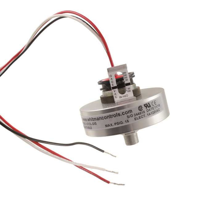 Whitman Controls P100C-1-C12L-DIS