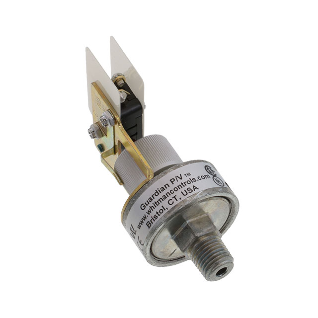 Whitman Controls P88G-3-C5TS
