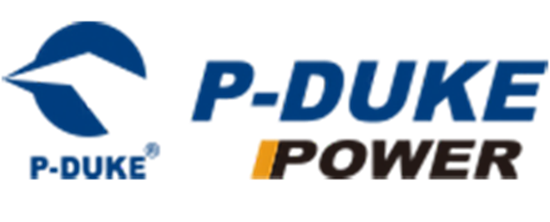 P-DUKE Technology, Inc.